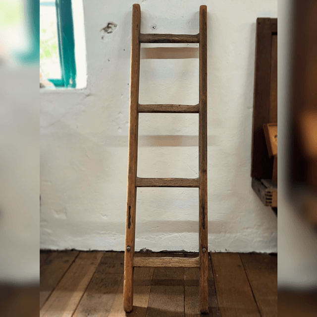 A Late 19th Century Small French Rustic Vineyard Fruit Tree Ladder 