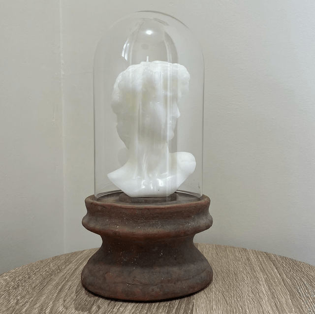 Superb 20th Century Glass & Terracotta Display Dome