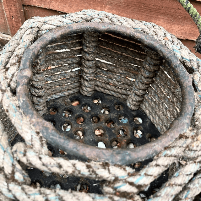 Two Large Vintage Whelk Pots