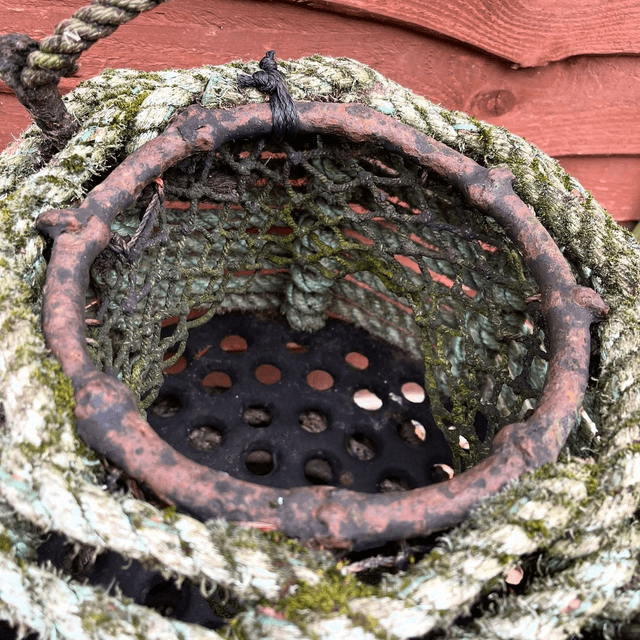 Two Large Vintage Whelk Pots