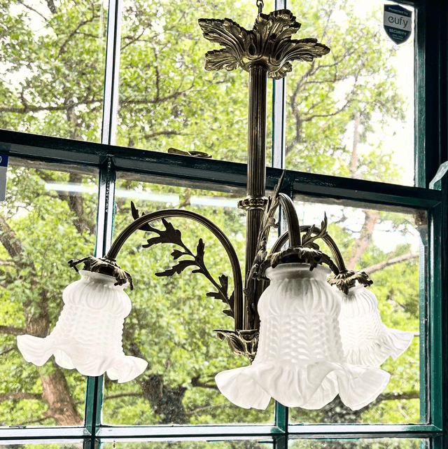 A 19th Century Brass Three Arm Chandelier With French Tulip Glass Shades